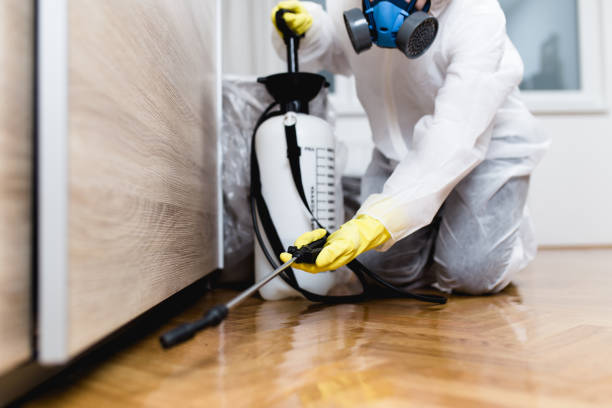 Best Pest Control Near Me  in Shougal, WA