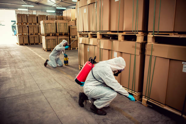 Best Best Pest Control Companies  in Shougal, WA