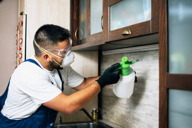 Best Local Pest Control Services  in Shougal, WA