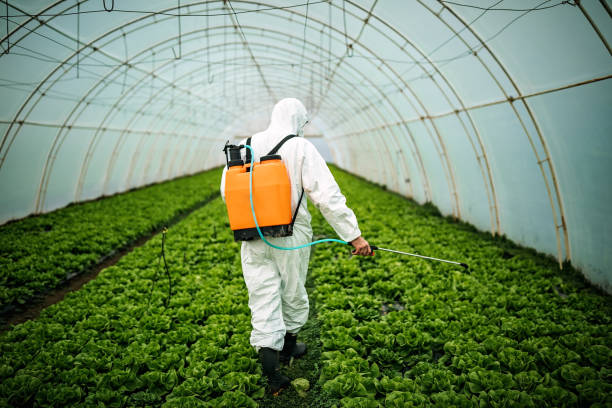 Pest Prevention Services in Washougal, WA