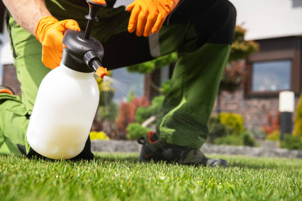 Best Pest Prevention Services  in Shougal, WA