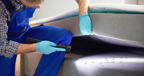 Best Rat Extermination Near Me  in Shougal, WA