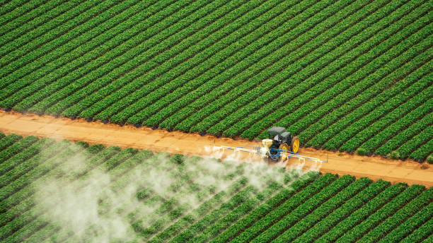 Best Best Pest Control Companies  in Shougal, WA