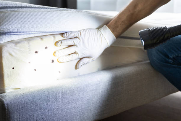Best Pest Removal Services  in Shougal, WA