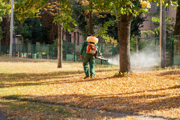 Best Flea Control Services  in Shougal, WA