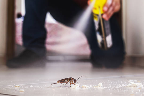 Best Wildlife Control Services  in Shougal, WA