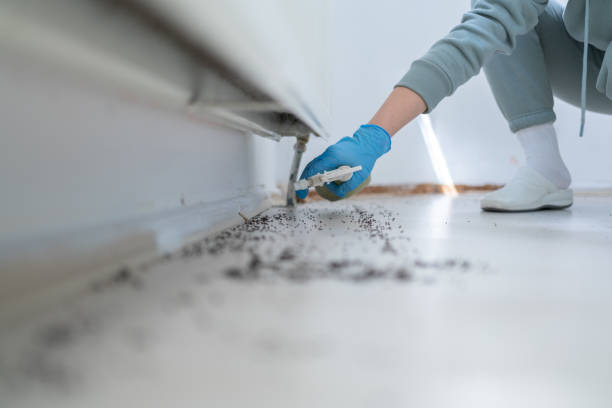 Pest Control for Restaurants in Washougal, WA