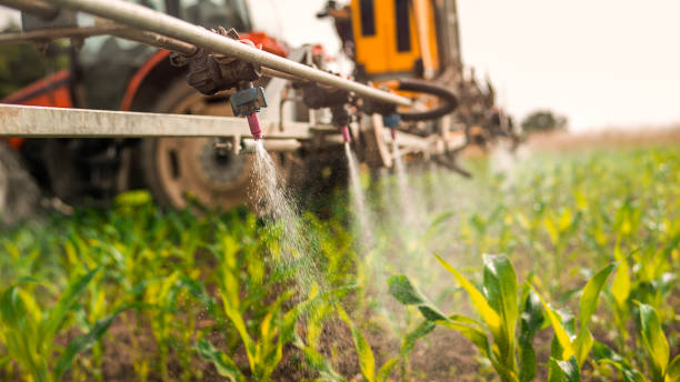 Best Best Pest Control Companies  in Shougal, WA